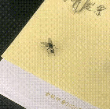 搓手猫:我是一名教师，工资很低，一个月三千不到我还要不要坚持下去？ 搓手猫表情包