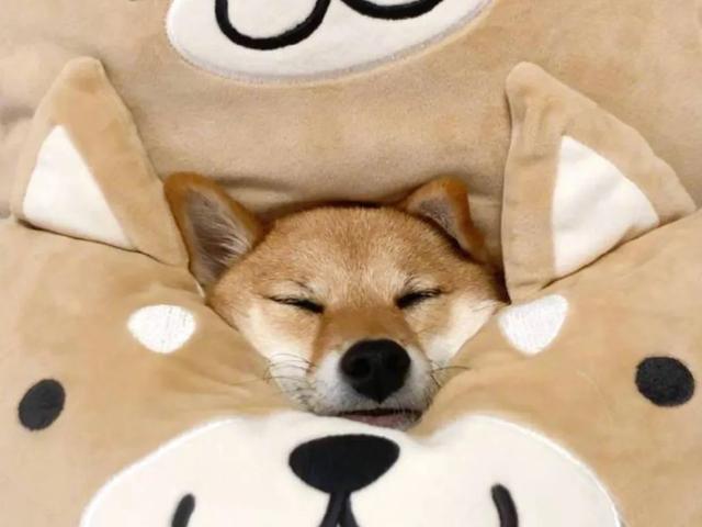 微信中最让你恶心的一项功能是什么？插图6