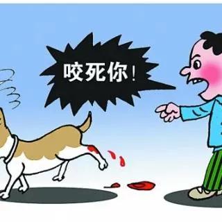 李宇春鞋被狗咬烂是怎么回事:你见过那些无耻之极的人吗？这样的人有哪些行为让你觉得无耻？