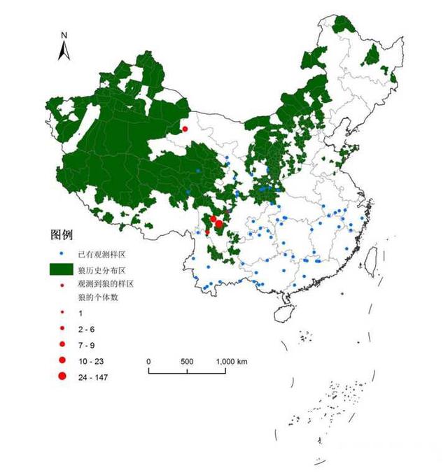 临沂狼伤人事件具体在什么地方:野狗和狼，在野外谁会主动攻击人？如果遇到怎么做才正确？