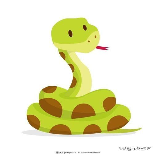 蟒蛇吞大狗:动物世界中蛇吃人的故事？
