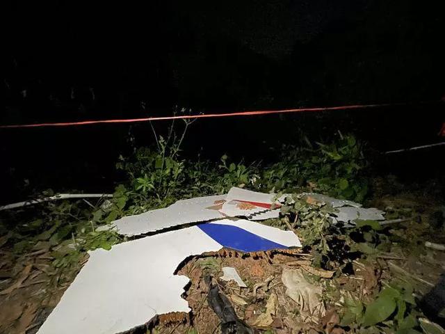 消防员救狗跳粪坑:河南南阳一只小狗陷火场，狗妈妈嚎叫求救，你怎么看这件事？