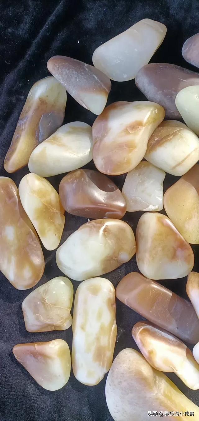 新疆的候鸟有哪些:新疆棉花质量好 新疆都有什么地方可以捡石头？现在还来得及吗？