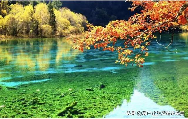 阴气重的女人命好吗,命好的女人，身上都有什么样的习惯？