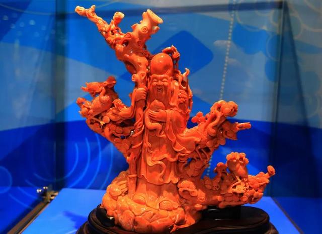 红珊瑚为什么越来越贵？插图