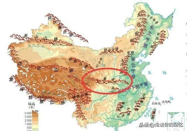 秦岭的恐怖传说，为什么都说秦岭最大的蛇是王锦蛇难道秦岭没有蟒蛇吗