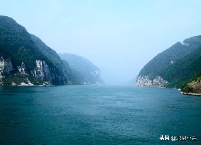虎纹恐龙王鱼贴吧:长江禁渔十年后，鱼太多导致水里面没有食物，鱼会不会再次进化？