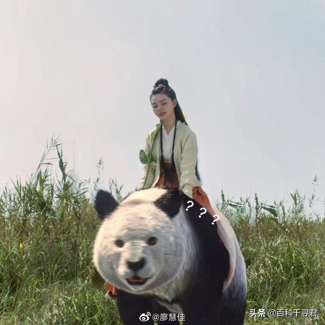 大熊猫到底是不是蚩尤的坐骑？有没有什么古籍作为依据？