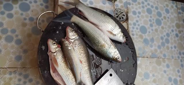 头条问答 - 如何钓土鲮?(22个回答)