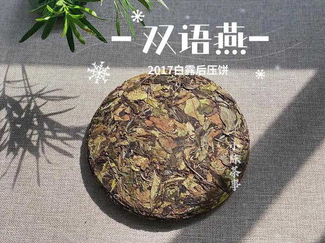 老白茶怎么泡,白茶怎么泡好喝呢？多久才算老白茶呢？