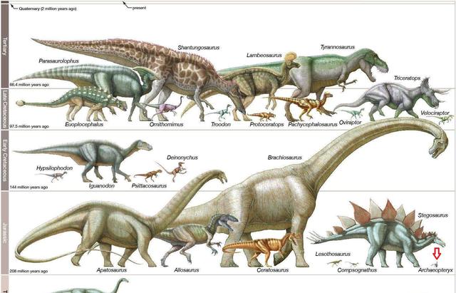 恐龙变成鸟的原因(恐龙是怎么退化成鸟的)