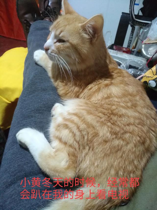 许喵喵mickey:笑到嘴巴抽筋的笑话有哪些