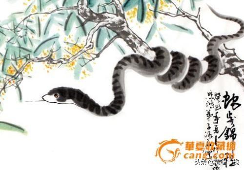 是羊大一点还是狗大一点极速:巨型泰迪多少钱一只？好养吗？
