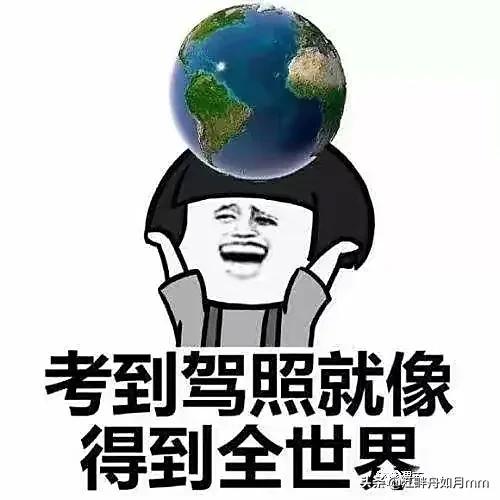 监考猫:学驾照，你给教练送礼了吗？