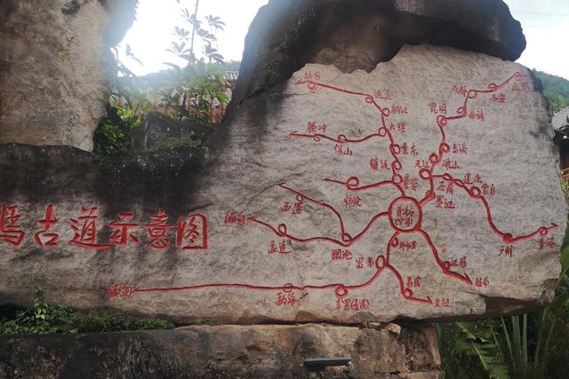 昆明垂耳兔价格:如果疫情清零，你是否愿意花1个月工资出去旅游放松自己呢？