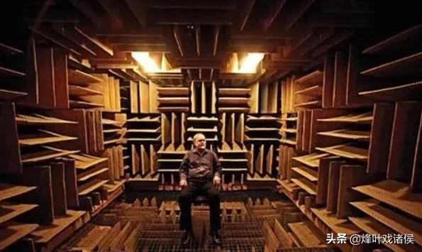 为什么有人说很少有人能在绝对静音无声的密室里撑过1小时？插图26