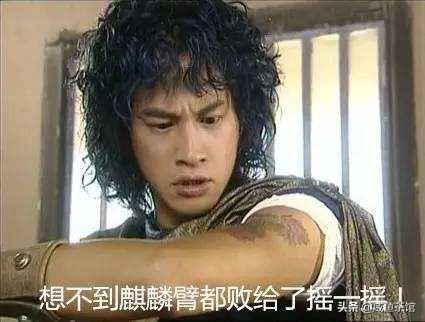 靓爆镜宠物馆:如何建立地方流浪狗收容所？
