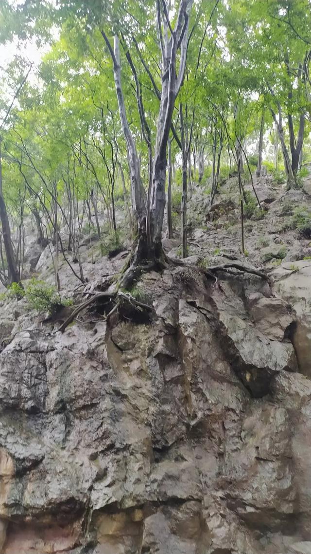 你心目中的少年感是什么样的，你觉得娱乐圈具有“少年感”男明星有谁