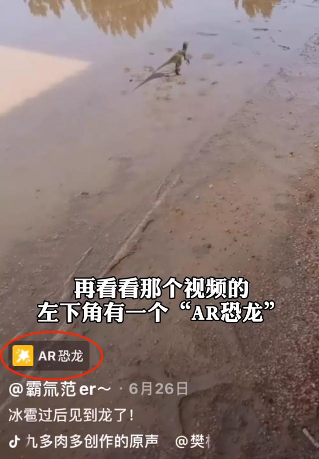 诺里奇梗百科图片:“博物君”无穷小亮为什么那么钟爱解说水猴子？ 诺里奇梗