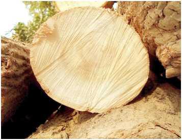 定制衣柜什么牌子板材好？插图2