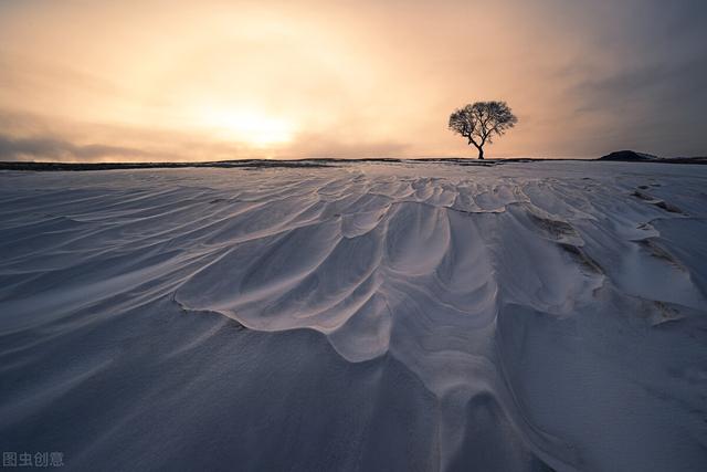 画面差异越大视觉效果越强烈,而远近对比就是差异比较大的一种构图