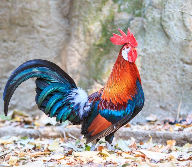 人活到七十岁最担心害怕什么？