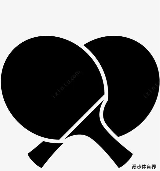 千元以内的乒乓球直拍，适合中年人体力的，性价比高一些的有哪些选择？插图2