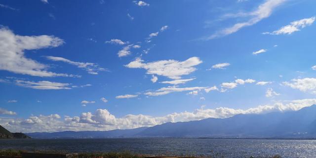 昆明垂耳兔价格:如果疫情清零，你是否愿意花1个月工资出去旅游放松自己呢？