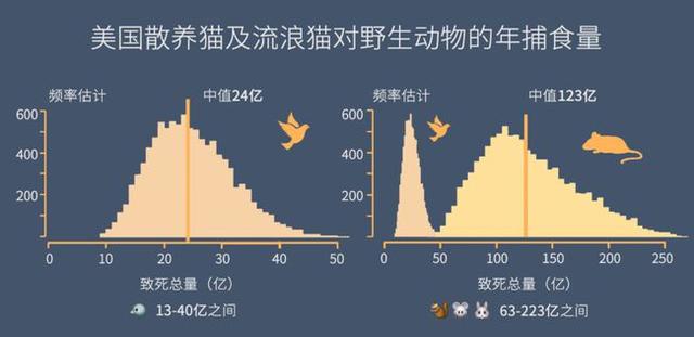 看看最大的藏獒养殖场:流浪猫狗泛滥成灾是否会抵消保护野生动物的成果？