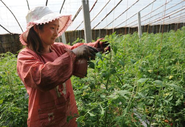 补肾疯子价钱，价位在50到80块钱之间的白酒，你觉得哪个牌子的喝起来还不错