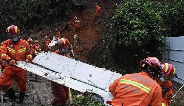 消防员救狗跳粪坑:河南南阳一只小狗陷火场，狗妈妈嚎叫求救，你怎么看这件事？