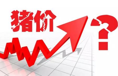 2022属猪运势,2022年的猪价将会怎么变化？