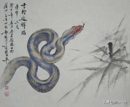 十二生肖身上最让人喜欢的有哪方面？