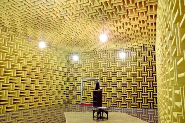 为什么有人说很少有人能在绝对静音无声的密室里撑过1小时？插图16