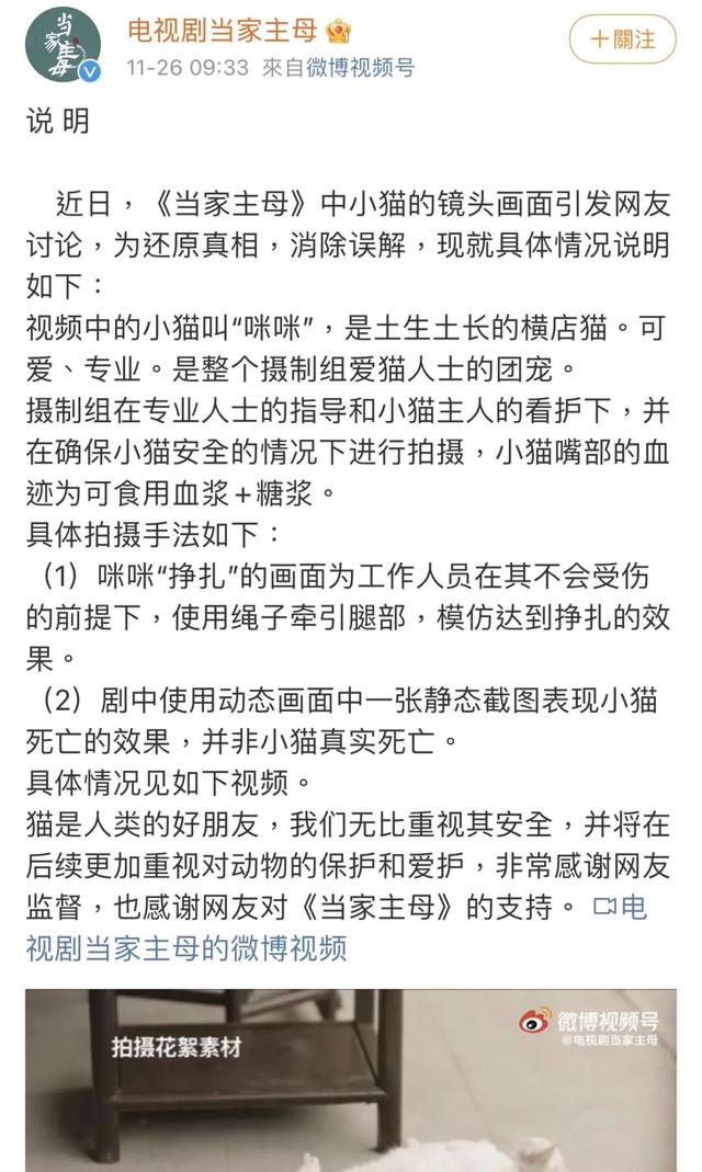 宠物志愿 全cg:宠物志愿全cg攻略 “杀狗虐猫”的影视剧，什么时候凉？