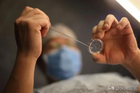 人类灭绝:如果全世界的男性消失，世界会发生什么
