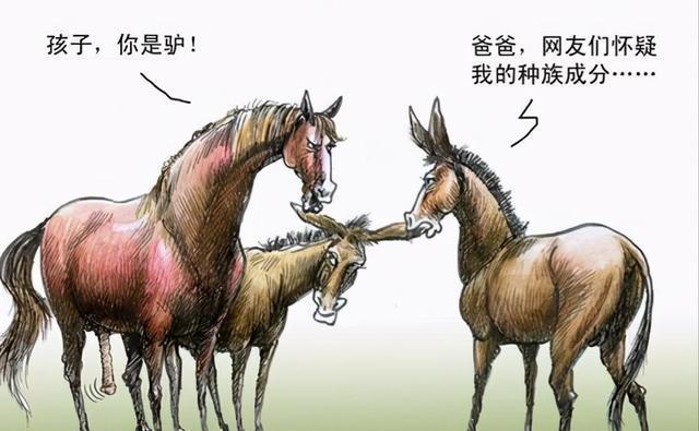 骡子为什么不能繁殖后代，为什么马和驴子交配能生骡子，为什么而骡子不能生育后代呢