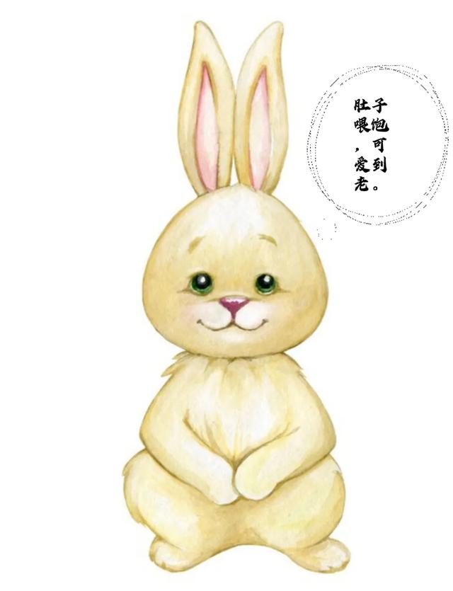 让你笑的花枝乱颤,死去活来的笑话有哪些？