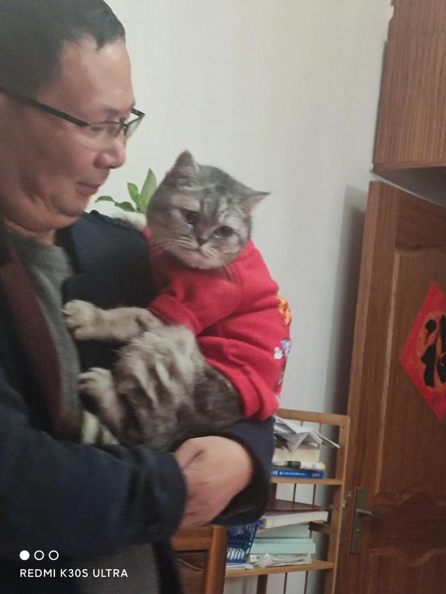 猫奴契约书图片:在古代，猫在人们心中的地位是怎样的？