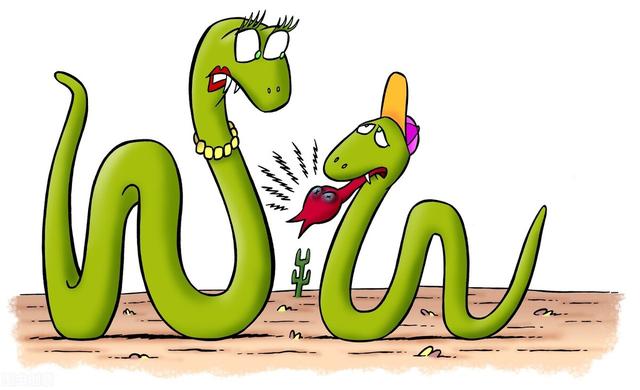 2022年运势最好的生肖要翻身猪,最有潜力的生肖是哪一个？