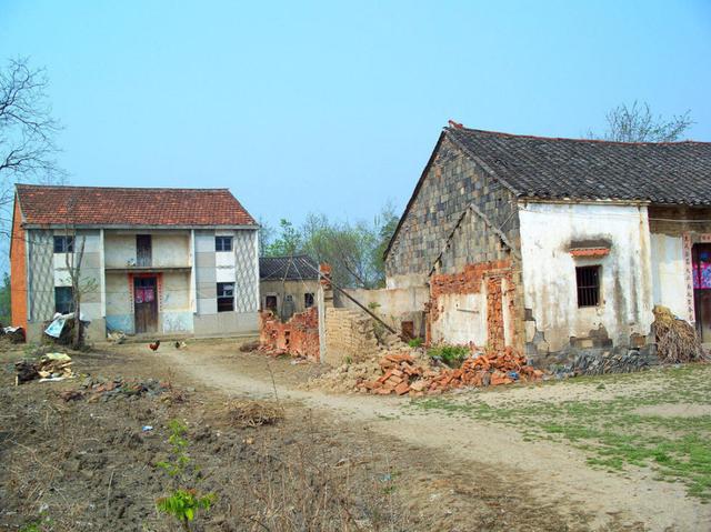 北京宠物狗养殖基地油蛤遭哄抢:两个外卖员把公园的黑天鹅偷回家炖萝卜，应该怎么判才合适？