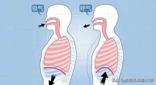 呼吸空气应该进肺部,为什么站桩时深呼吸会感觉肚里的气非常多？
