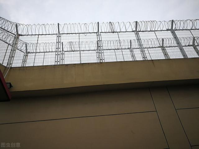 坐牢出狱后，是不是开公司免税三年？插图