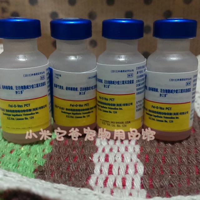 狂犬病致死率近100%，城乡养狗普遍，流浪狗泛滥，该怎么办？插图4