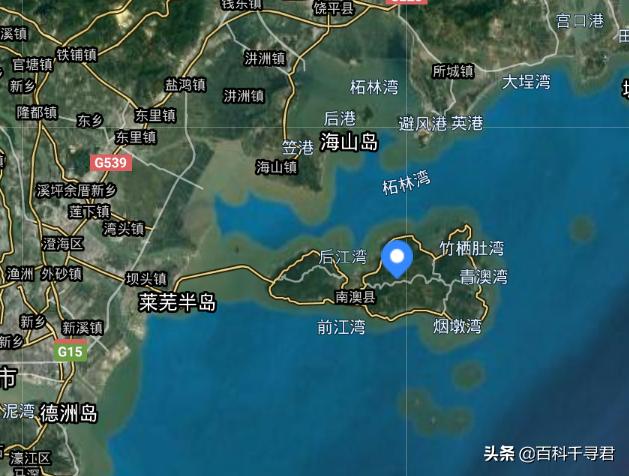 球蟒价格:澳门一工地挖出3米长的蟒蛇，澳门为何会出现蟒蛇？