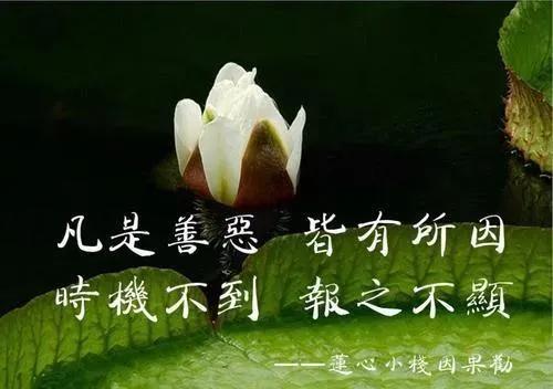 母狗般的老师bt种子:你身边发生过恶有恶报的事例吗？你当时是什么感觉？
