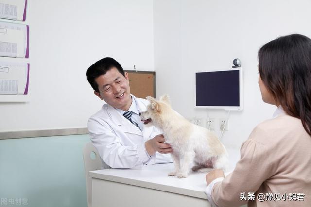 优爵宠物食品:猫粮怎么选，要便宜一点的？