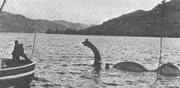龙真实事件，1977年，日本捕鱼船捞起的海怪，真是濒临灭绝的蛇颈龙吗