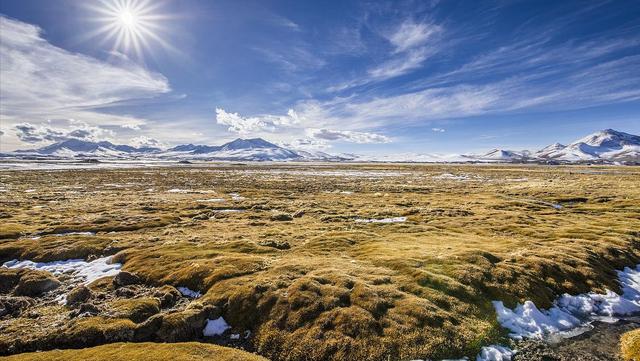 智利是个怎样的国家？插图105