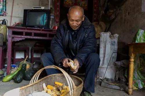有人拿过去农民交公粮说事,要提高甚至平均养老金,你怎么看？